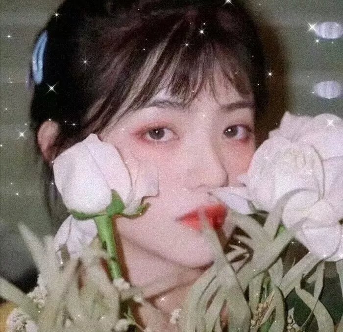 白月光拯救计划